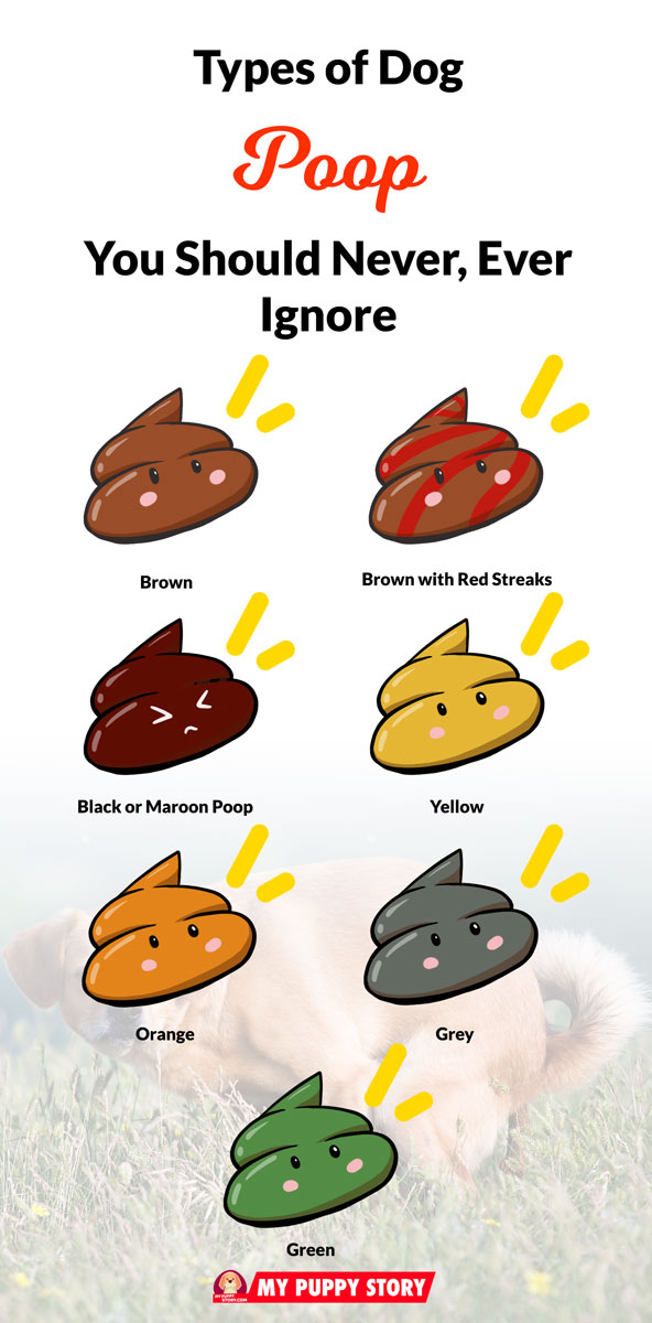 Dog Poop Color