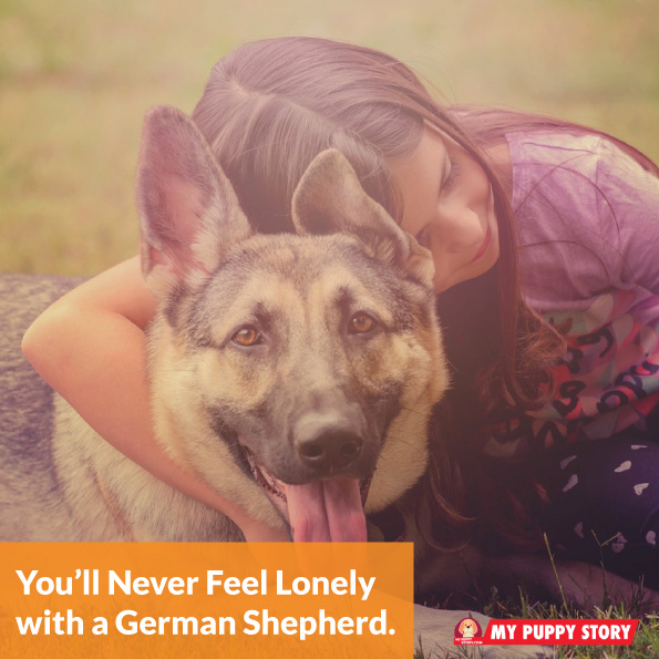 best dog companion for german shepherd